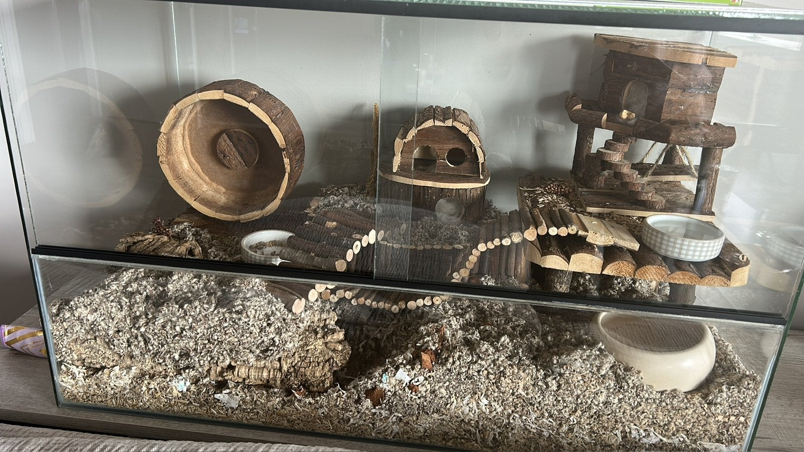 Hamster hok (knaagdieren) evt met spullen, Gebruikt, Muis, Hok, 75 tot 110 cm