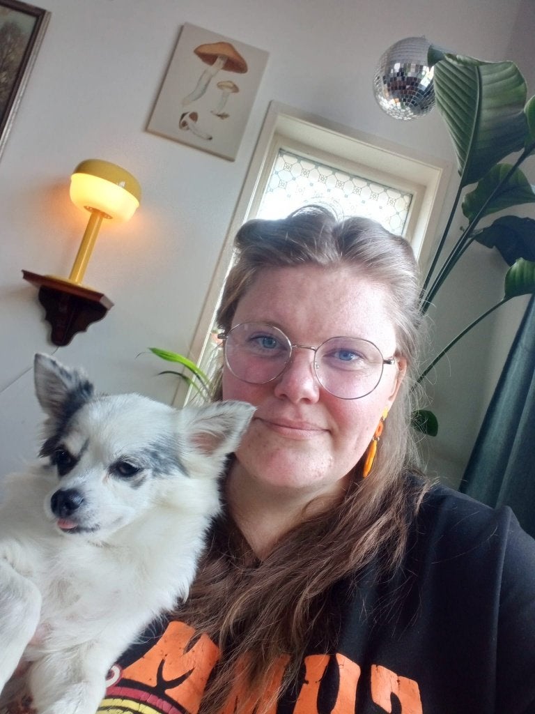 Ervaren honden oppas in huiselijke omgeving, Uitlaatservice
