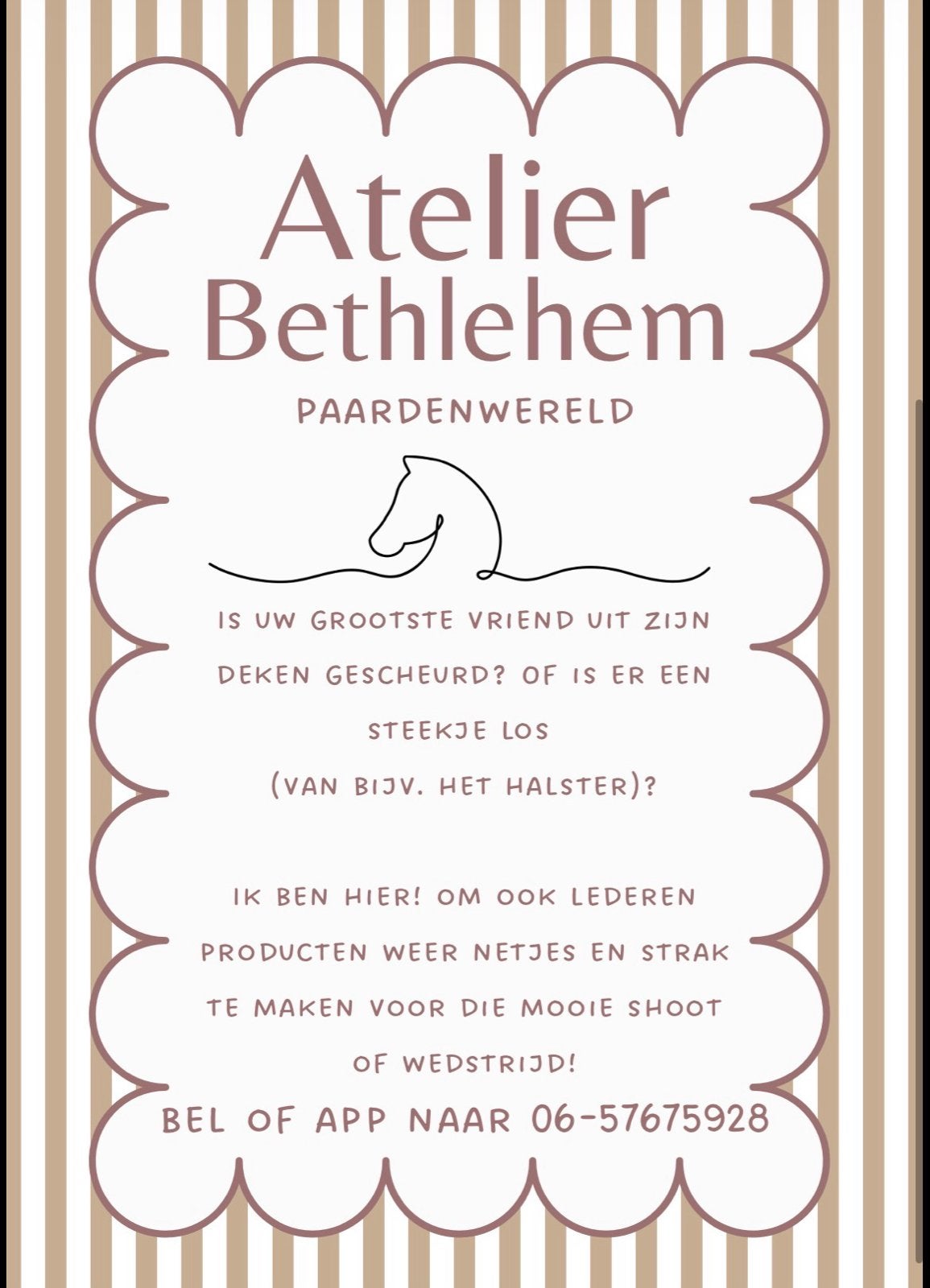 Paardenspullen reparatie, Dieren en Toebehoren, Ophalen of Verzenden