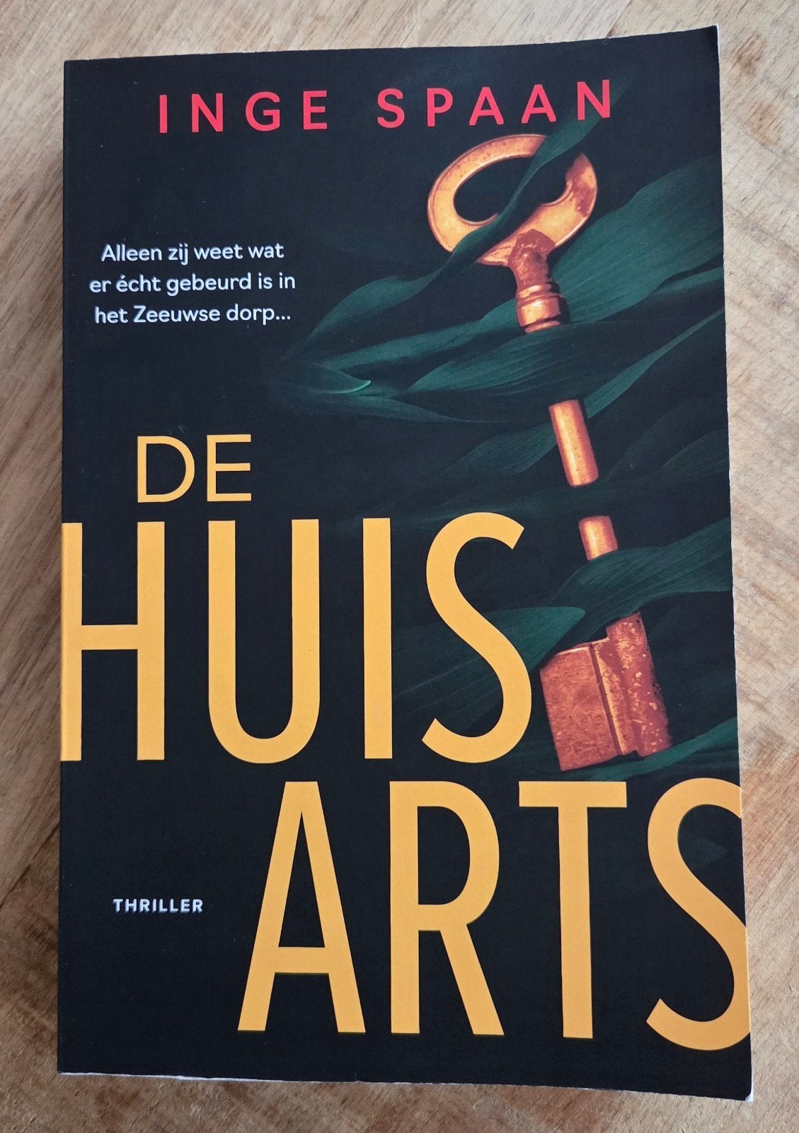 Inge Spaan - De huisarts, Ophalen of Verzenden, Zo goed als nieuw, Inge Spaan