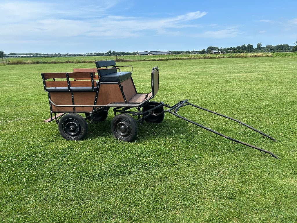 paarden koets, Nieuw, Overige typen, Paard