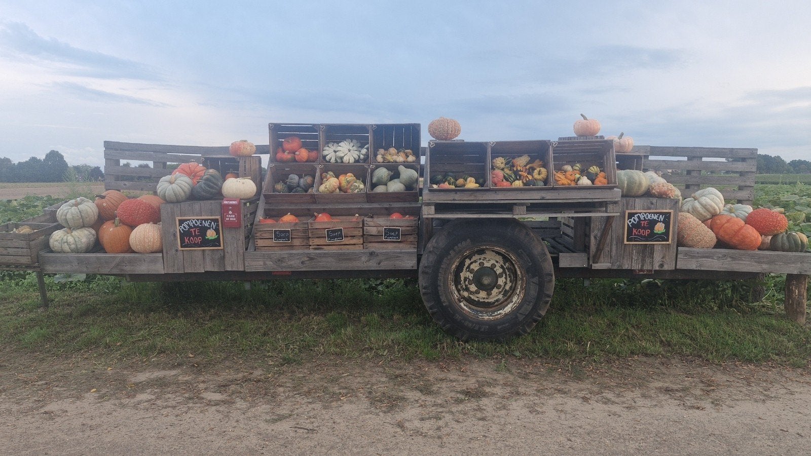 Diverse pompoenen en kalebassen te koop, Zakelijke goederen, Agrarisch | Aardappelen, Groenten, Fruit en Vlees, Ophalen