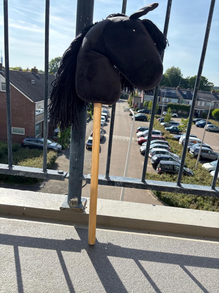 Fries Hobby Horse - Zwart Stepaard, Ophalen of Verzenden, Gebruikt, Jongen of Meisje