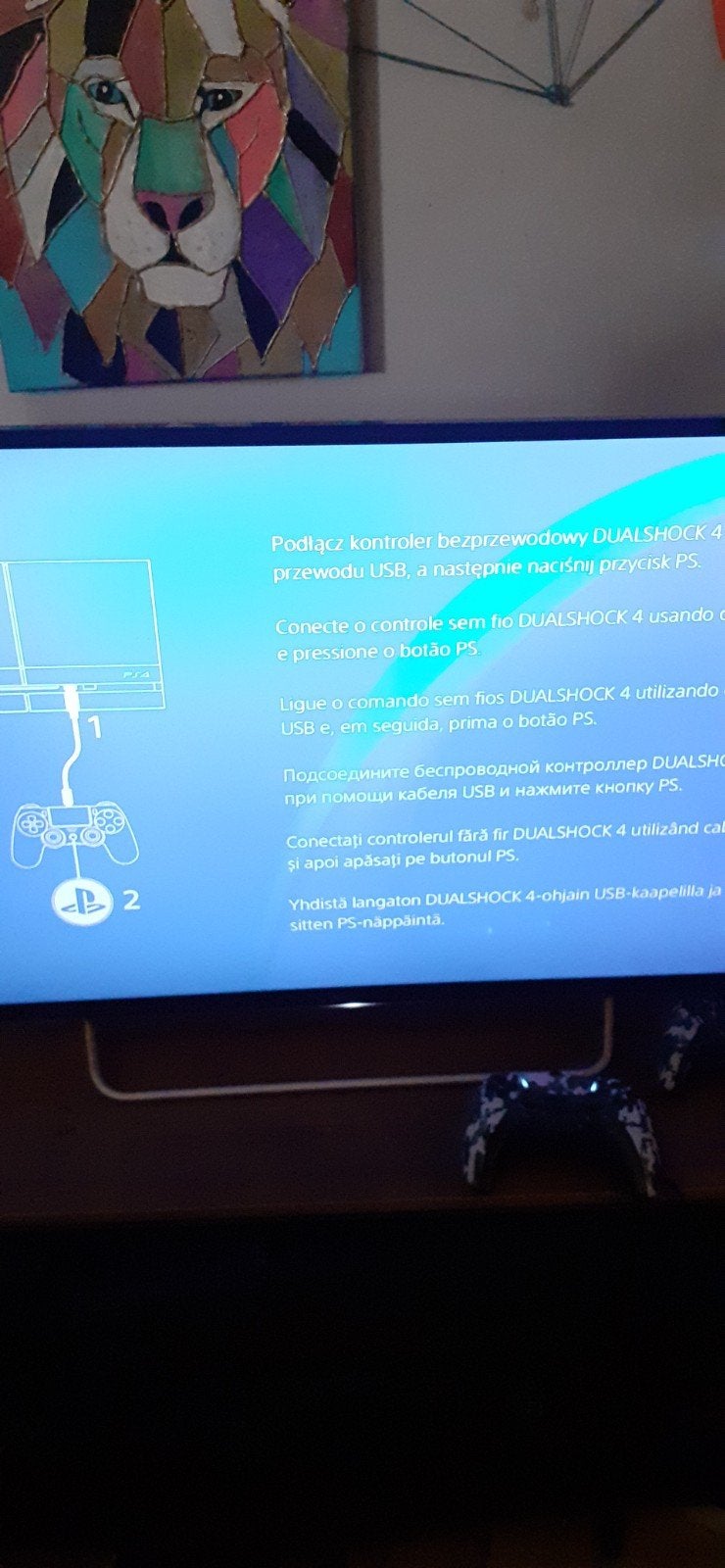 PlayStation 4 met 2 games, Ophalen, Online, Gebruikt, 2 spelers