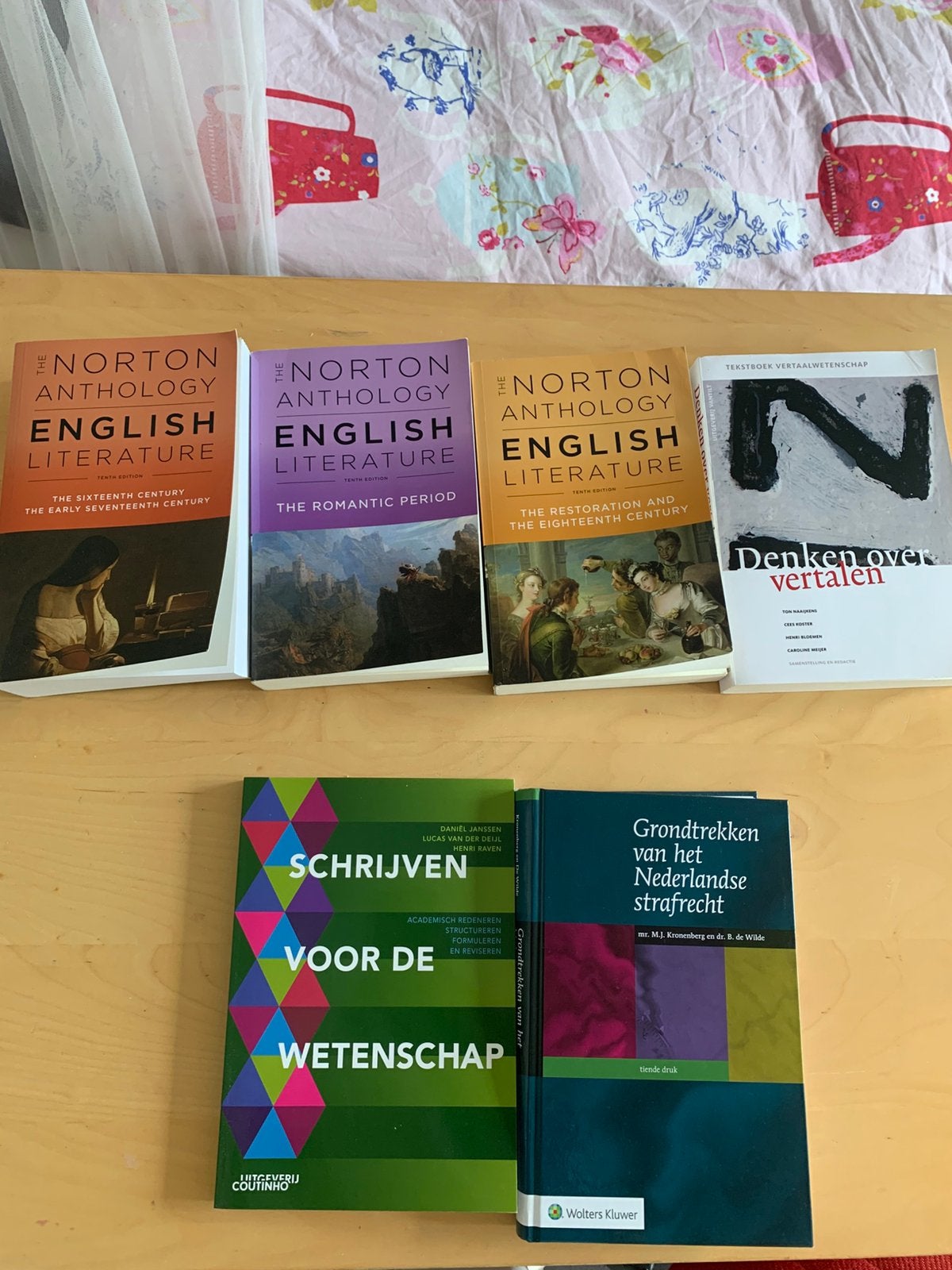 Diverse studieboeken Engelse Taal en Cultuur en Rechten UU, Verzenden, Zo goed als nieuw, School, Studie en Wetenschap