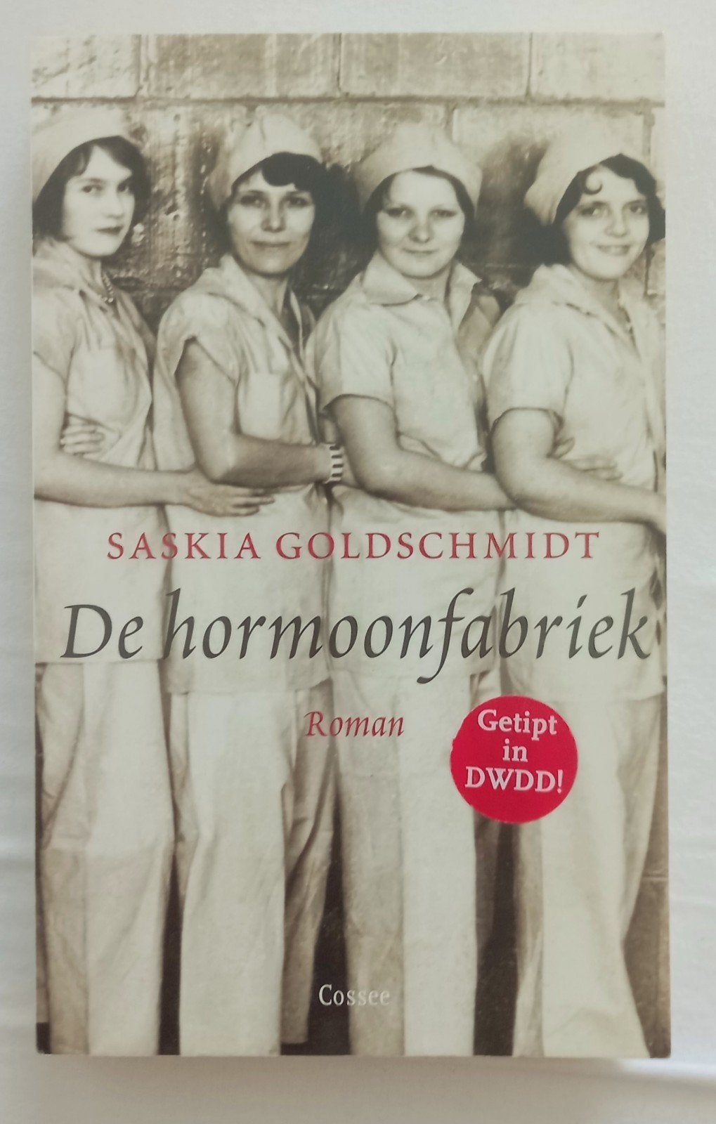 De hormoonfabriek - Saskia Goldschmidt (roman), Verzenden, Zo goed als nieuw, Saskia Goldschmidt, Nederland