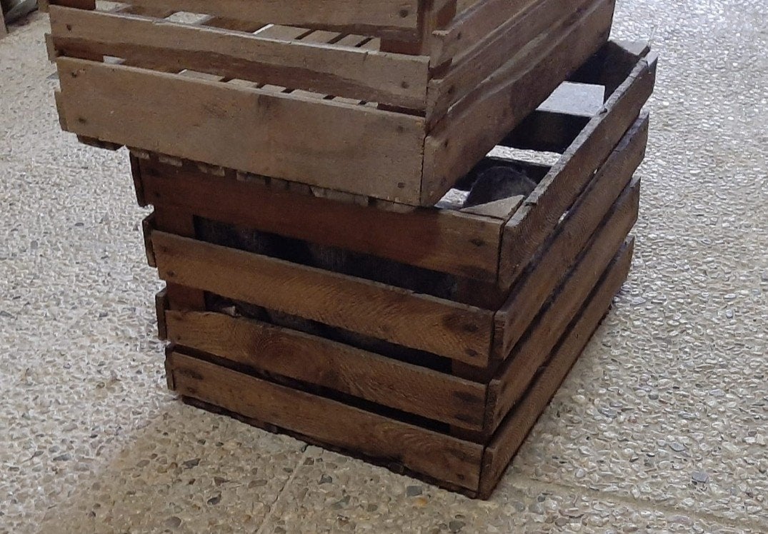 Fruitkistjes 7,50 per stuk, Ophalen of Verzenden, Minder dan 50 cm, Minder dan 50 cm