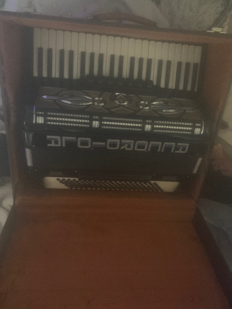 Accordion, Muziek en Instrumenten, Accordeons, Overige formaten, Met koffer, Toetsaccordeon, Ophalen of Verzenden