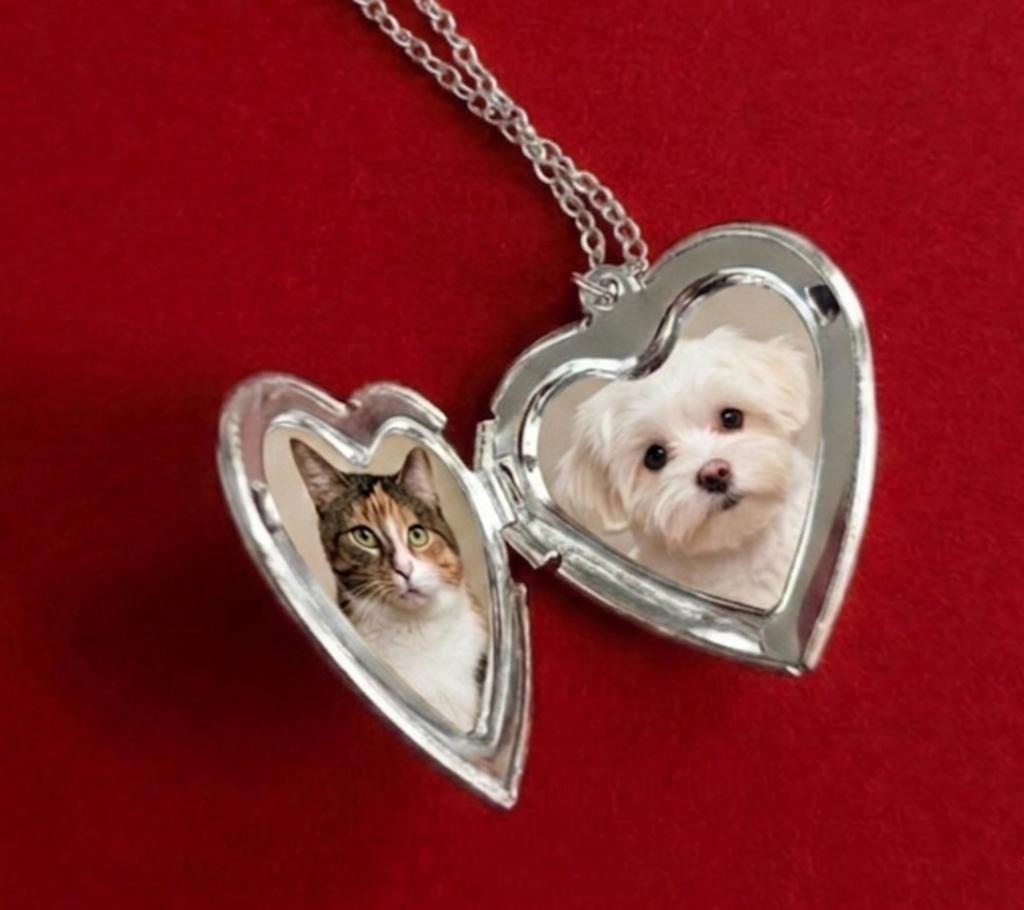 Hartvormig Medaillon Ketting - Zilverkleurig, Sieraden, Tassen en Uiterlijk, Kettingen, Overige materialen, Verstelbaar, Nieuw