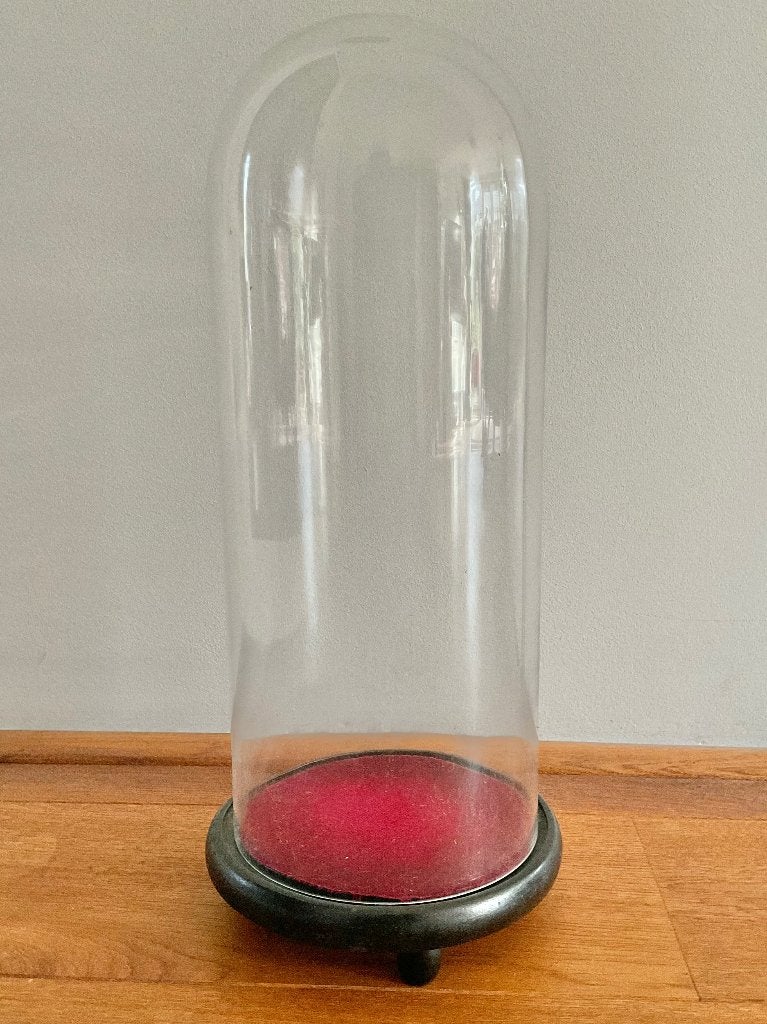 Antieke hoge stolp 16,5x40cm, Huis en Inrichting, Woonaccessoires | Stolpen, Glas, Ophalen, Gebruikt, Met plateau