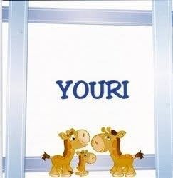 kaartje2go  Youri, Ophalen of Verzenden, 2000 tot heden, Geboortekaartje