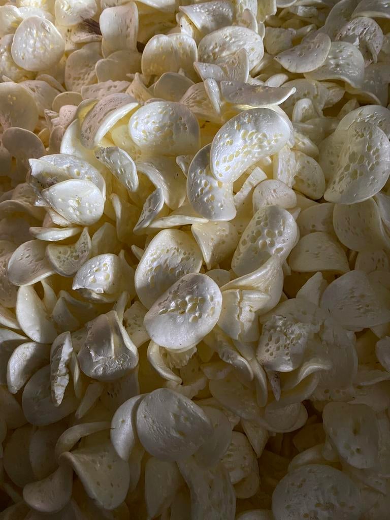 Isolatie chips, Ophalen of Verzenden, Overige materialen, Minder dan 4 cm, 15 m² of meer
