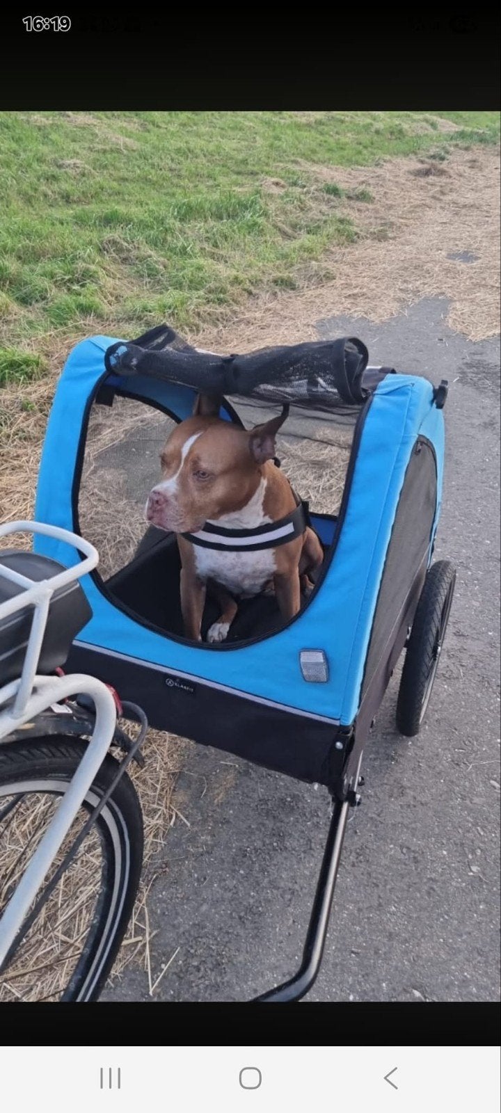 Hondenfietskar - Zo goed als nieuw, 20 tot 40 kg, Ophalen of Verzenden, Zo goed als nieuw, Hondenkar