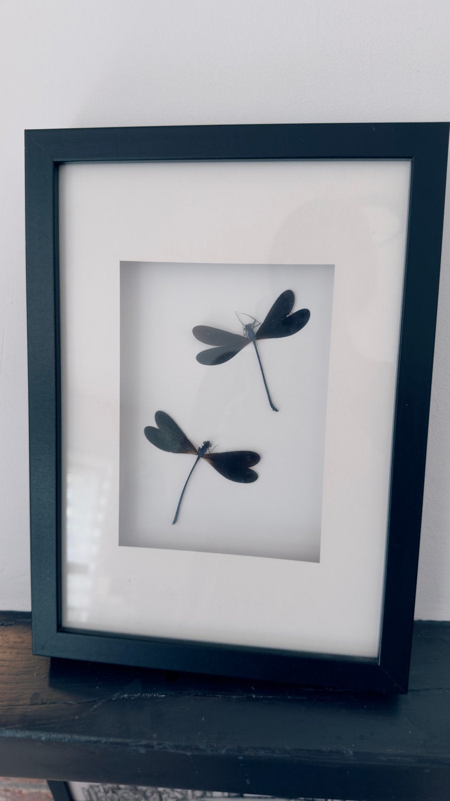 Ingelijste libellen decoratie, Minder dan 50 cm, Overige typen, Ophalen of Verzenden, Zo goed als nieuw