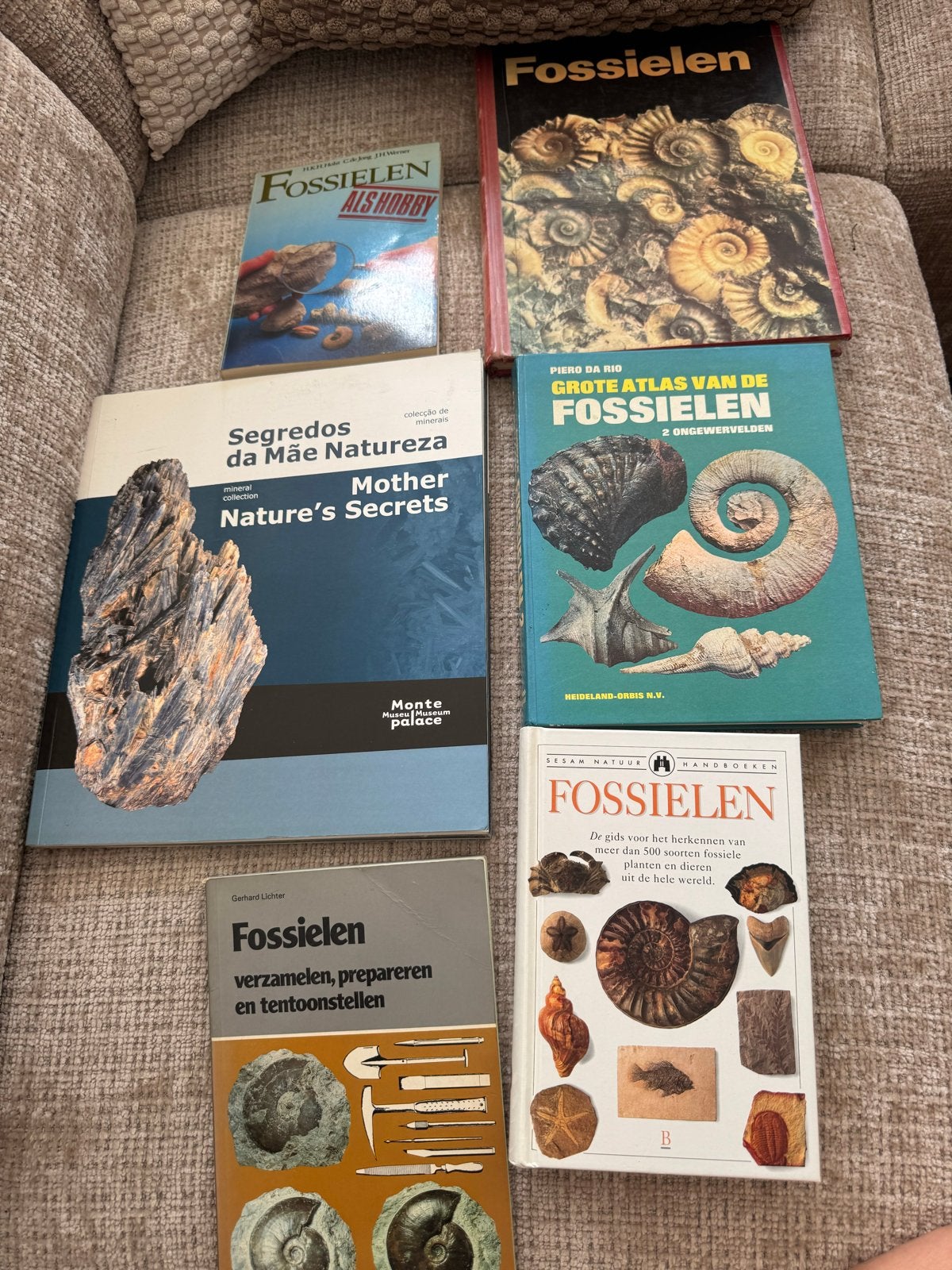 6 boeken over fossielen - Leer alles over fossielen, Ophalen of Verzenden, Overige typen