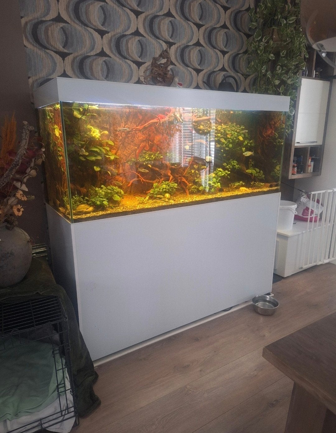 Aquarium 160x70x60, Ophalen, Zo goed als nieuw, Leeg aquarium
