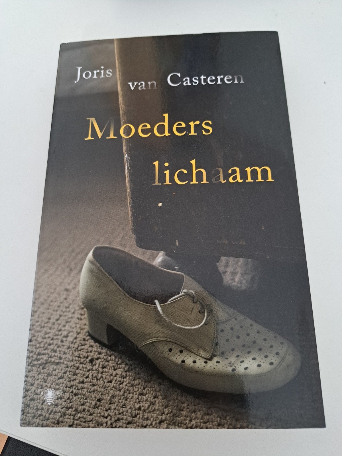 Joris van Casteren - Moeders lichaam, Ophalen of Verzenden, Gelezen