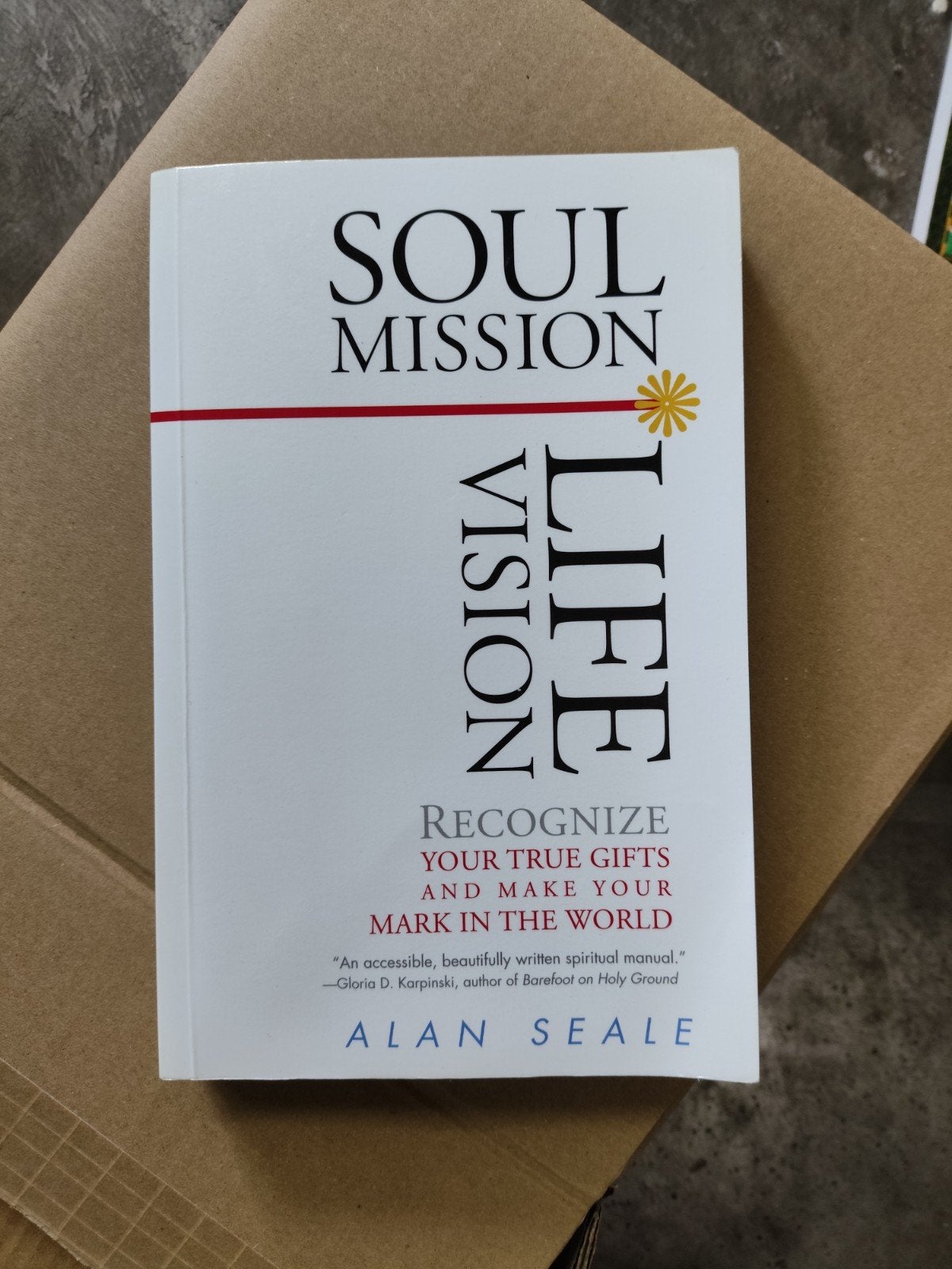 Soul mission life vision, Ophalen of Verzenden, Zo goed als nieuw, Spiritualiteit algemeen, Achtergrond en Informatie