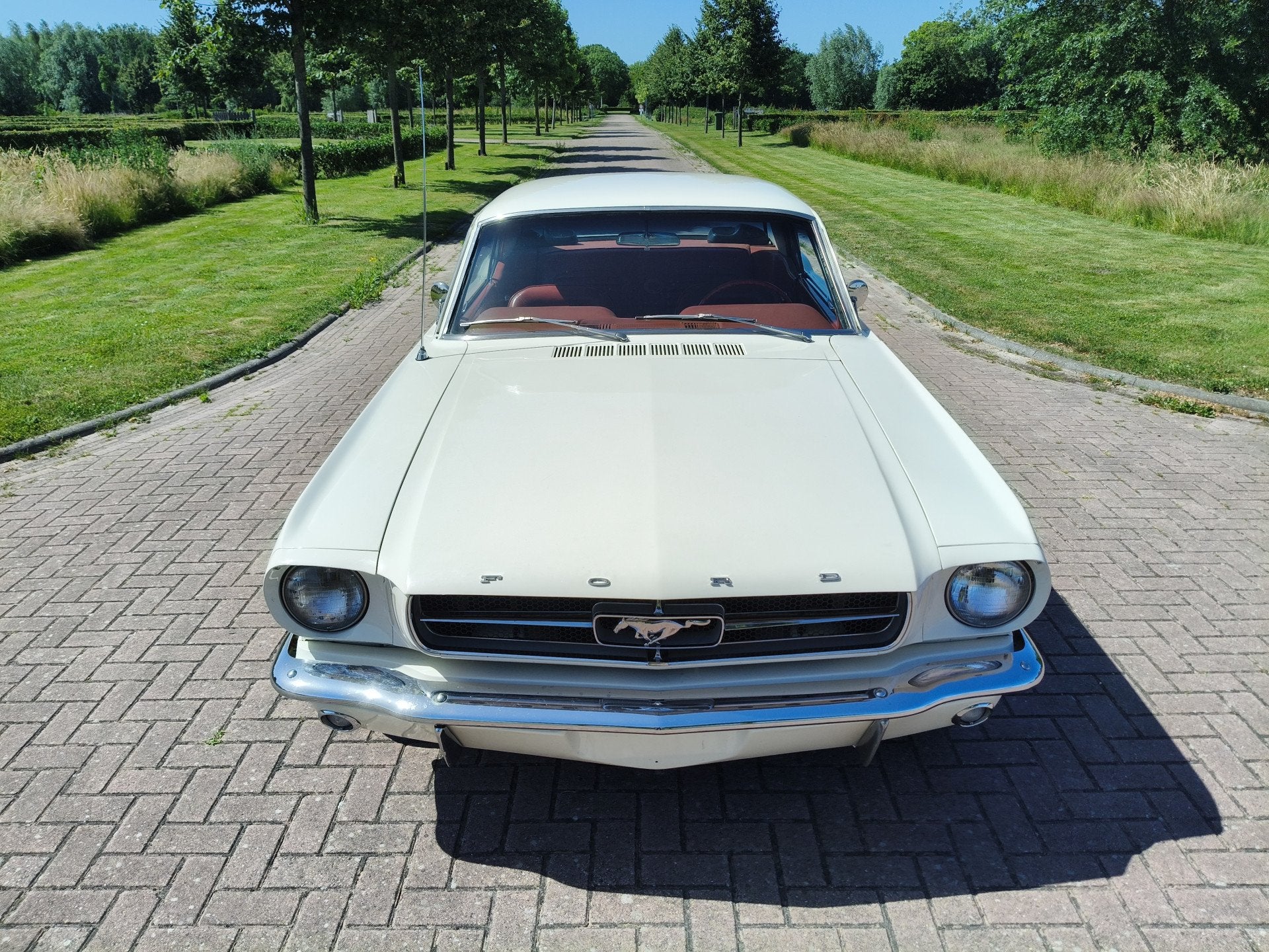 Ford Mustang HARDTOP V8 COUPE A CODE! (bj 1965, automaat), foto 5
