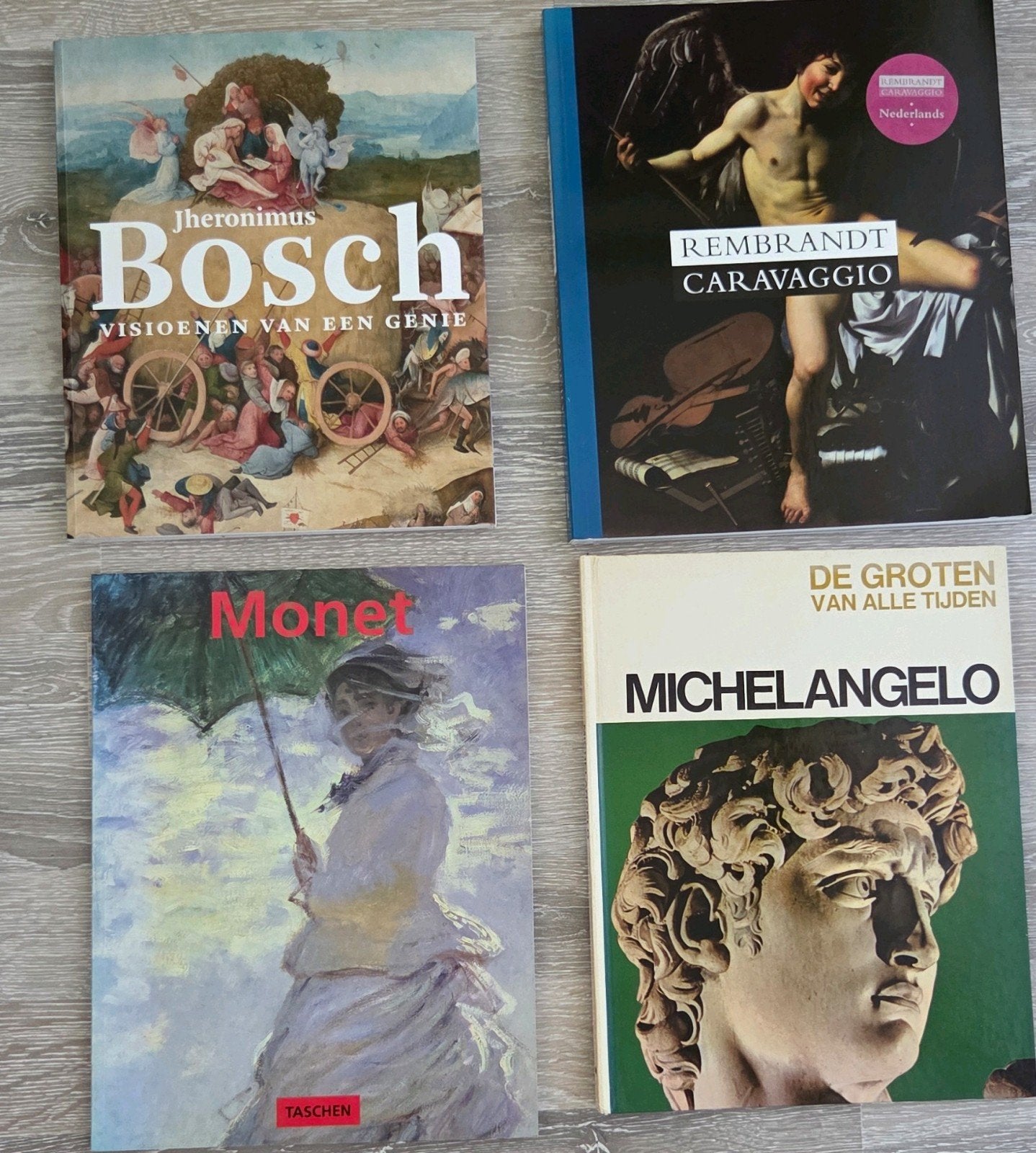 Kunstboeken: Bosch, Rembrandt, Monet, Michelangelo, Ophalen, Gelezen, Schilder- en Tekenkunst, Diverse kunsthistorici