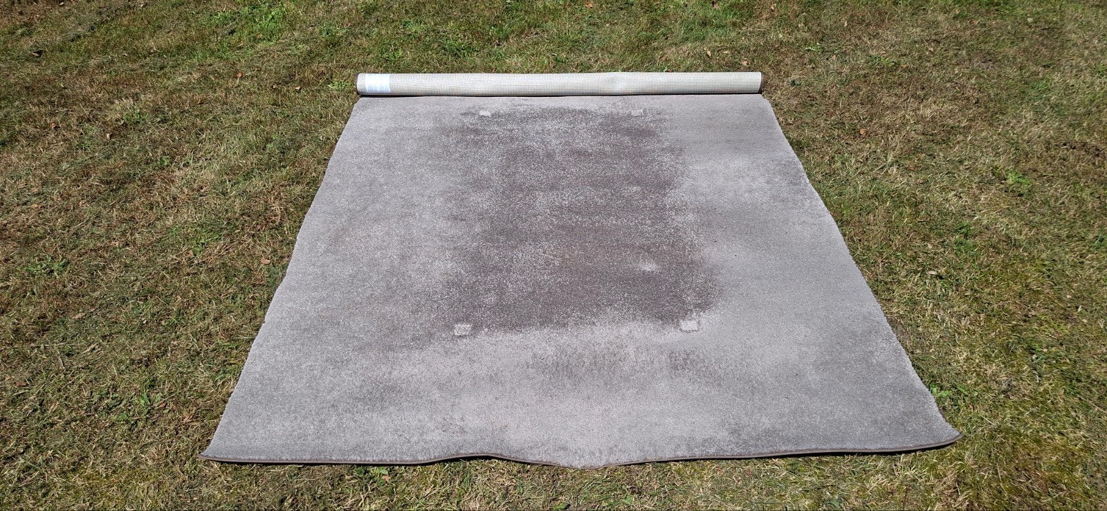 Vloerkleed 230 x 170 cm - Huisdier- en Rookvrij, Ophalen, Gebruikt, 150 tot 200 cm, 200 cm of meer