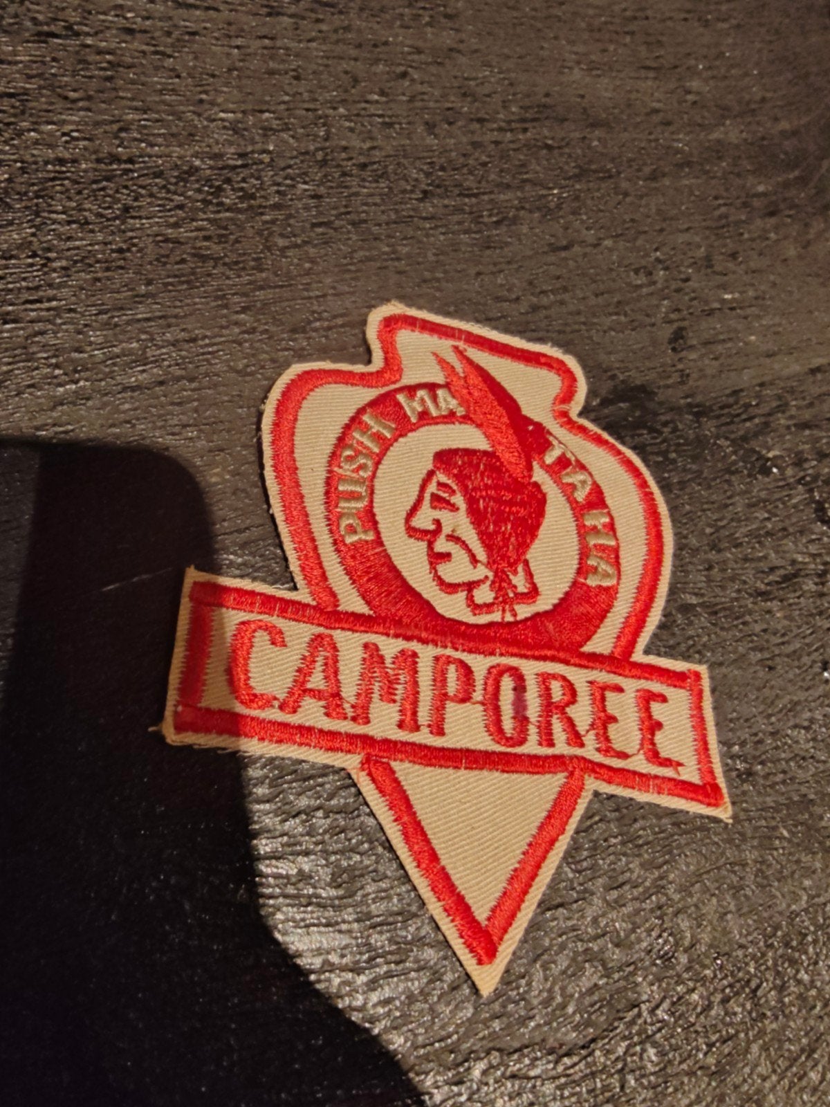 vintage Boy Scouts of America (BSA)-embleem (een camporee-pa, Ophalen of Verzenden, Embleem, Speld of Insigne