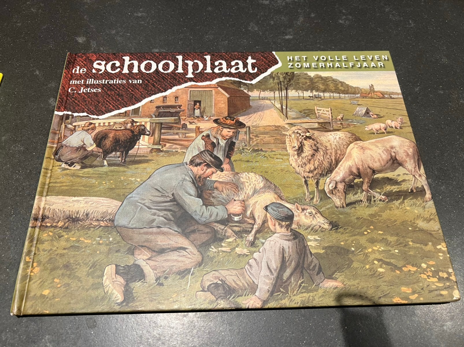 De schoolplaat het volle leven zomerhalfjaar, Boeken, Ophalen of Verzenden, Prentenboek