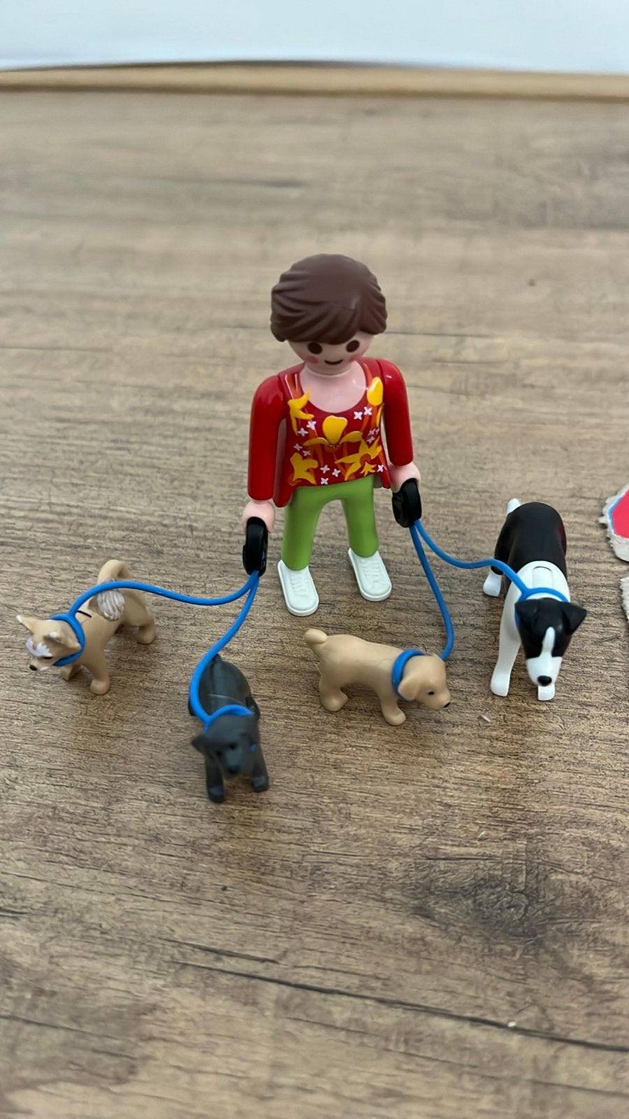 Playmobil 5380 - Hondenuitlaat Set Special Plus, Gebruikt, Complete set, Special plus, Ophalen of Verzenden