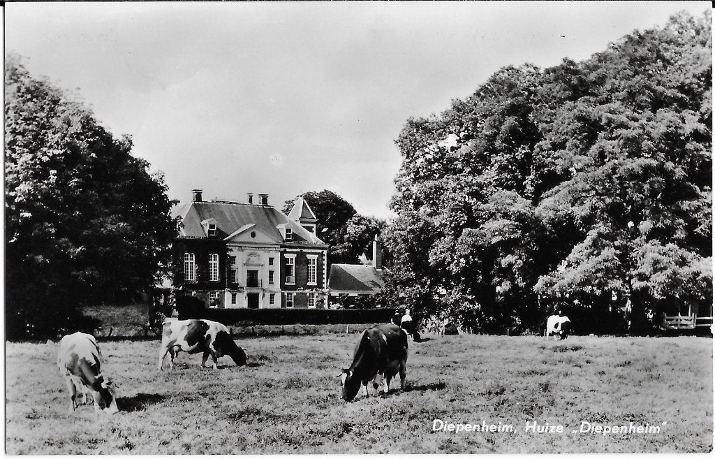 Diepenheim, Huize Diepenheim, koeien, Ophalen of Verzenden, 1960 tot 1980, Gelopen, Overijssel