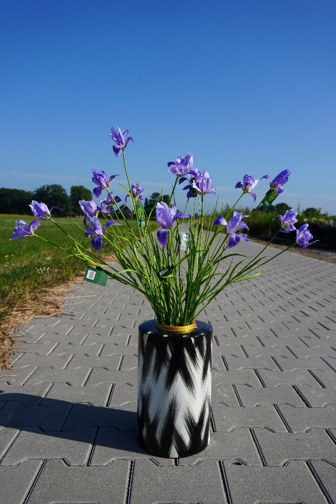6X Nieuwe Silk-Ka paarse of lavendel Iris, 71cm - RRP €59,94, Nz, Nz, Nieuw, Ophalen of Verzenden