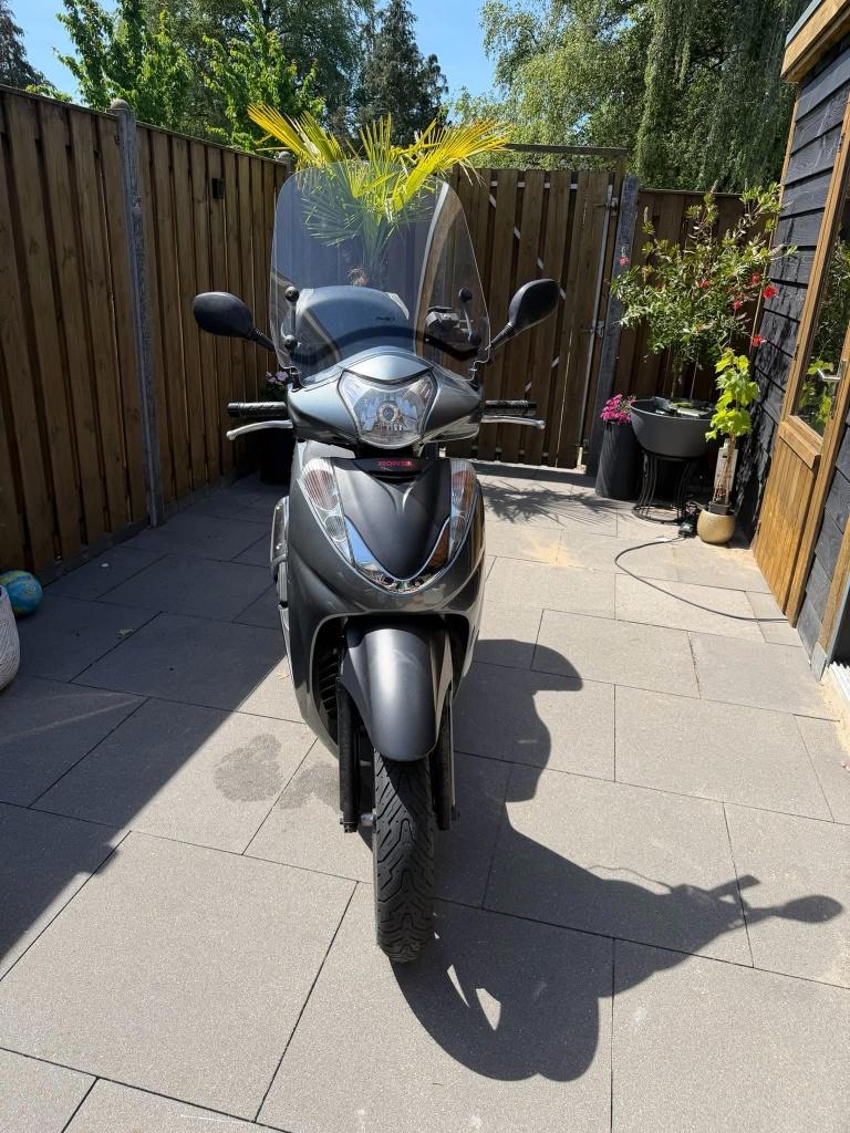 Honda SH300, Scooter, 300 cc, Gebruikt, Particulier