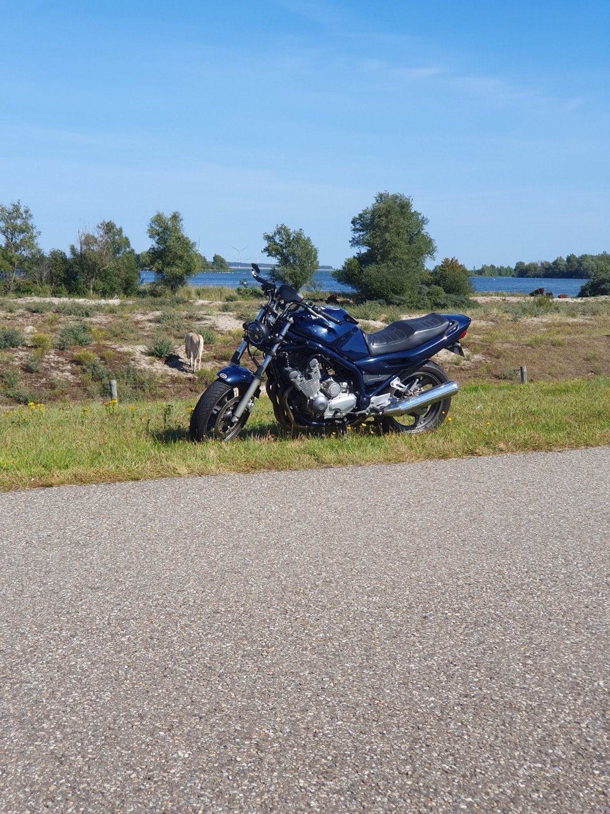 Yamaha XJ 900 diversion, Motoren, 899 cc, Motorrijbewijs A, Gebruikt, Particulier