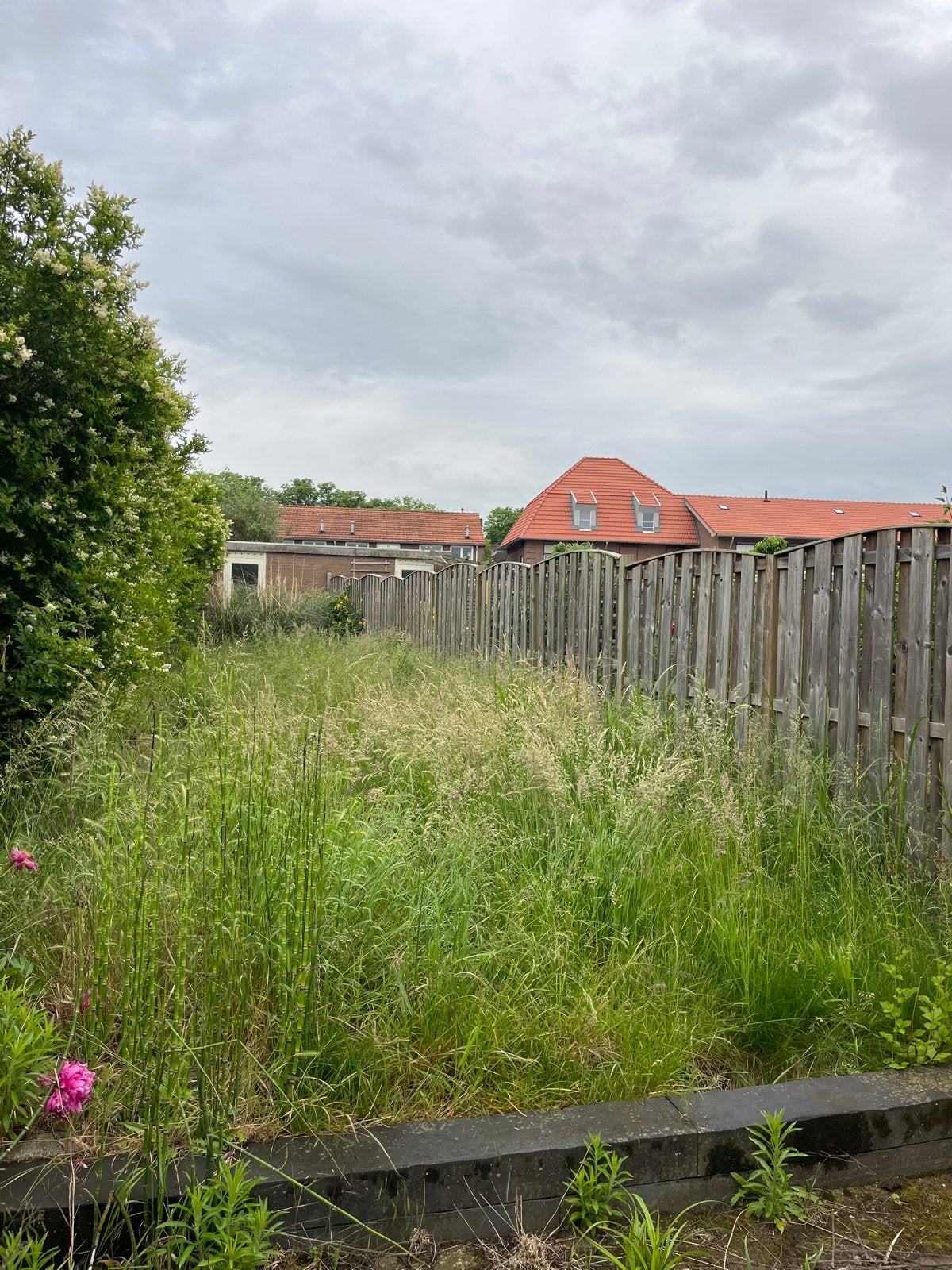 Welk groenbedrijf kan me helpen, Tuin en Terras, Ophalen, Gebruikt, 20 m² of meer, Gras