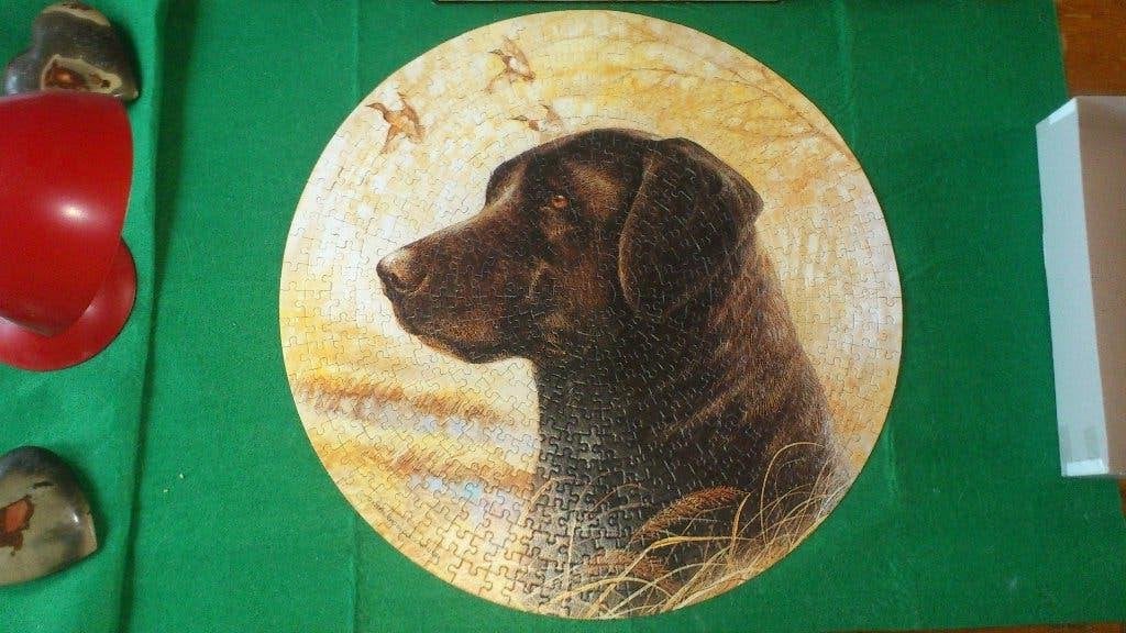 Ronde Puzzel - Bruine Labrador - 500 stukjes - Compleet, Ophalen, 500 t/m 1500 stukjes, Gebruikt, Legpuzzel