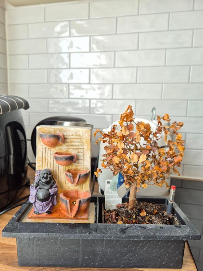 Bonsai met Boeddha en waterfontein, Gebruikt, Meerkleurig, Ophalen of Verzenden, Oosters