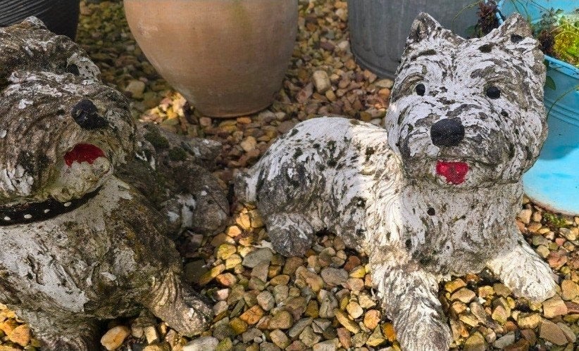 schaap ,kindjes en 2 westie beton, Tuin en Terras, Ophalen, Gebruikt