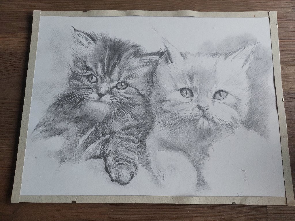 Mooie zeldzame Vintage Poezen Potlood Houtskool Tekening, Gebruikt, Verzenden, Meerkleurig, Papier/karton