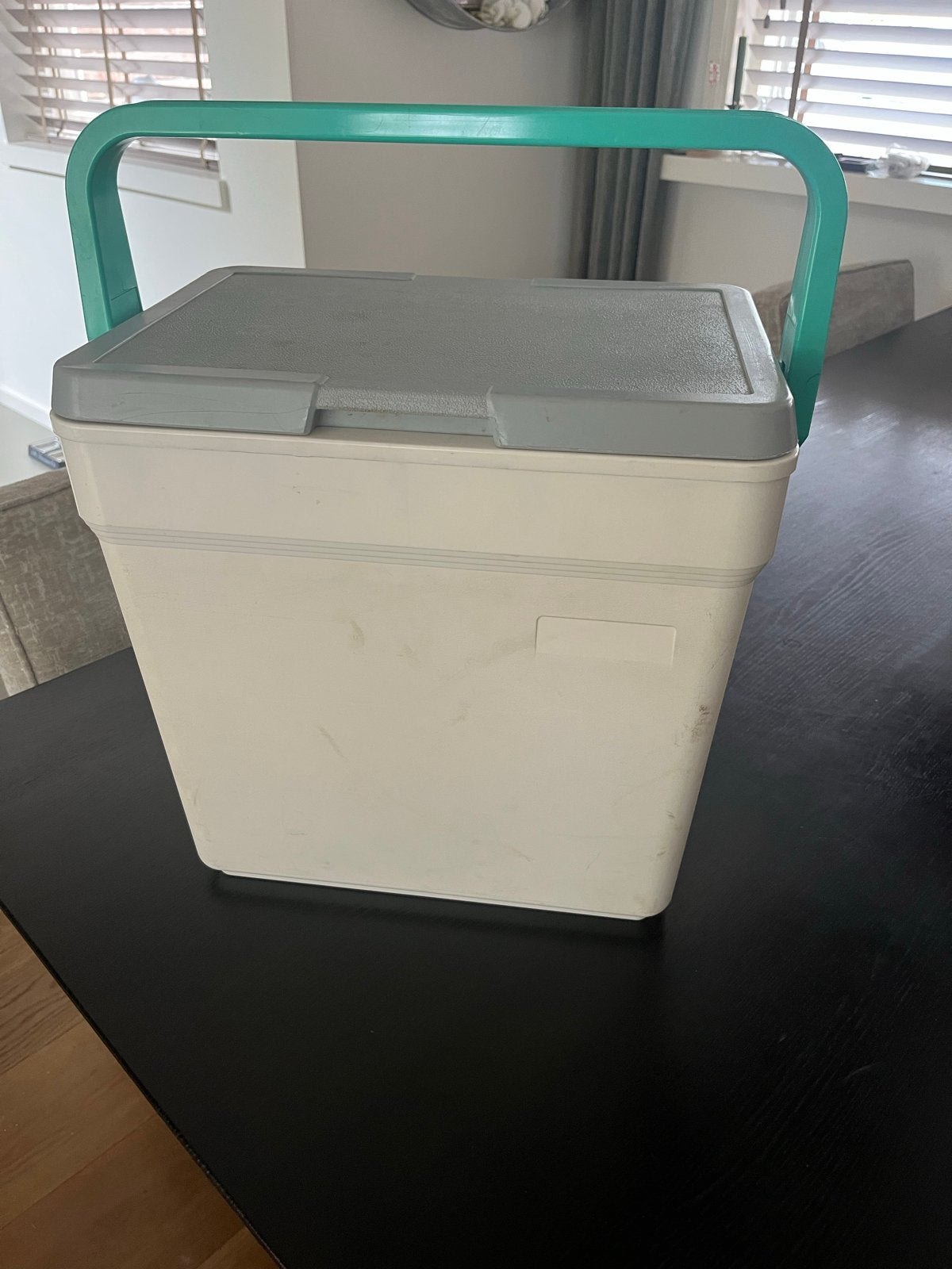 Handige koelbox met draaghengsel, Ophalen, Gebruikt, Koelbox, Koelelement