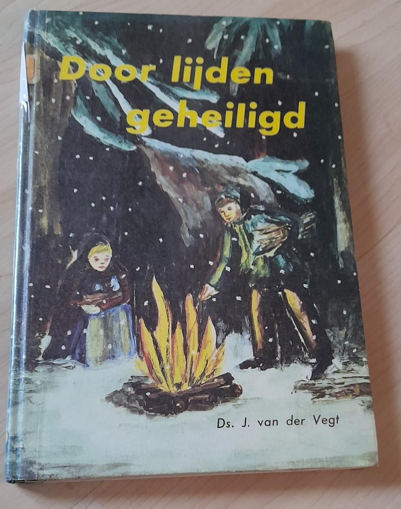 DOOR LIJDEN GEHEILIGD Ds J van der Vegt, Ophalen of Verzenden, Gelezen
