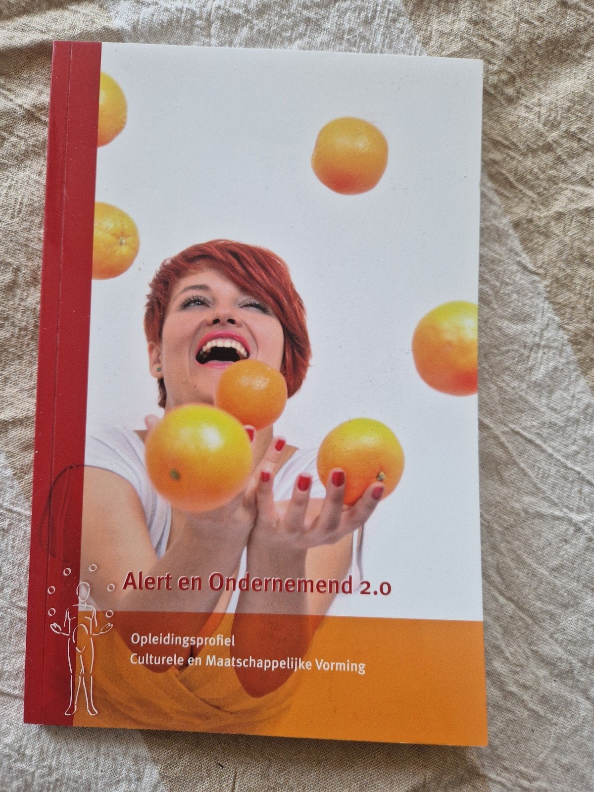 Alert en Ondernemend 2.0 - CMV- Social work, Zo goed als nieuw, Landelijk Opleidingsprofiel CMV, Gamma, HBO