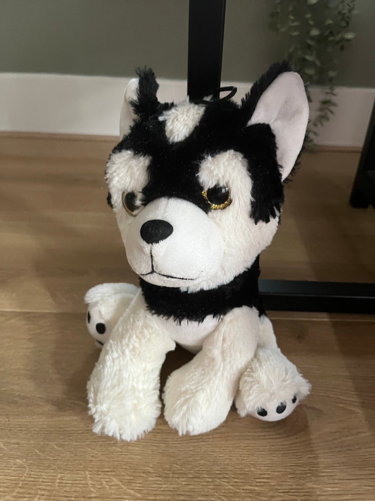 Schattige Husky knuffel - Zwart en wit, Zo goed als nieuw, Middelgroot (20 tot 80 cm), Meerkleurig, Hond