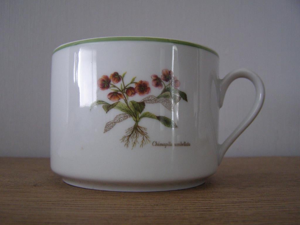 Kom porselein Chimapila Umbellata / Alchemilla Vulgaris, Ophalen, Gebruikt, Kom(men), Overige stijlen