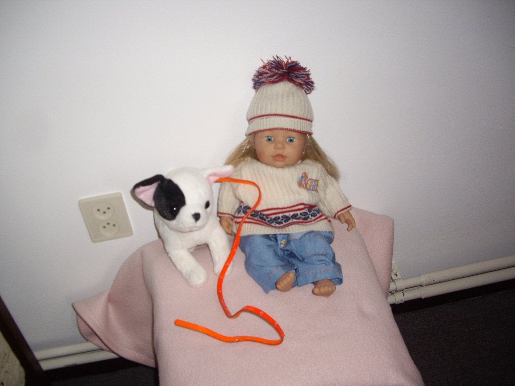 baby chou chou met hondje en acc, Ophalen of Verzenden, Zo goed als nieuw, Babypop