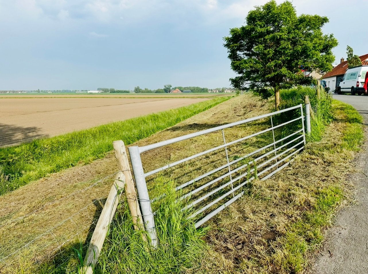 Weiland te huur 2500 m2 in Willemstad (N-B), Weidegang, 2 of 3 paarden of pony's