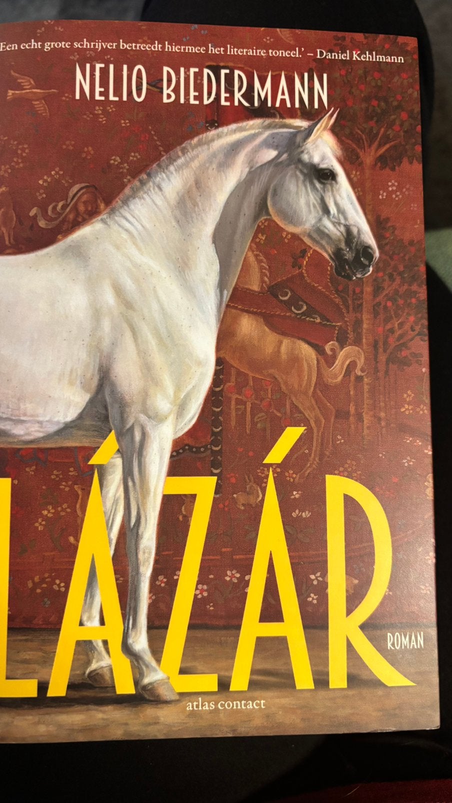 Lázár, Boeken, Ophalen of Verzenden, Zo goed als nieuw
