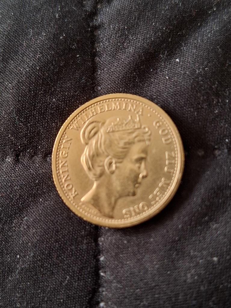 Wilhelmina 10 gulden goud verguld 1898, Ophalen of Verzenden, Koningin Wilhelmina, 10 gulden, Goud