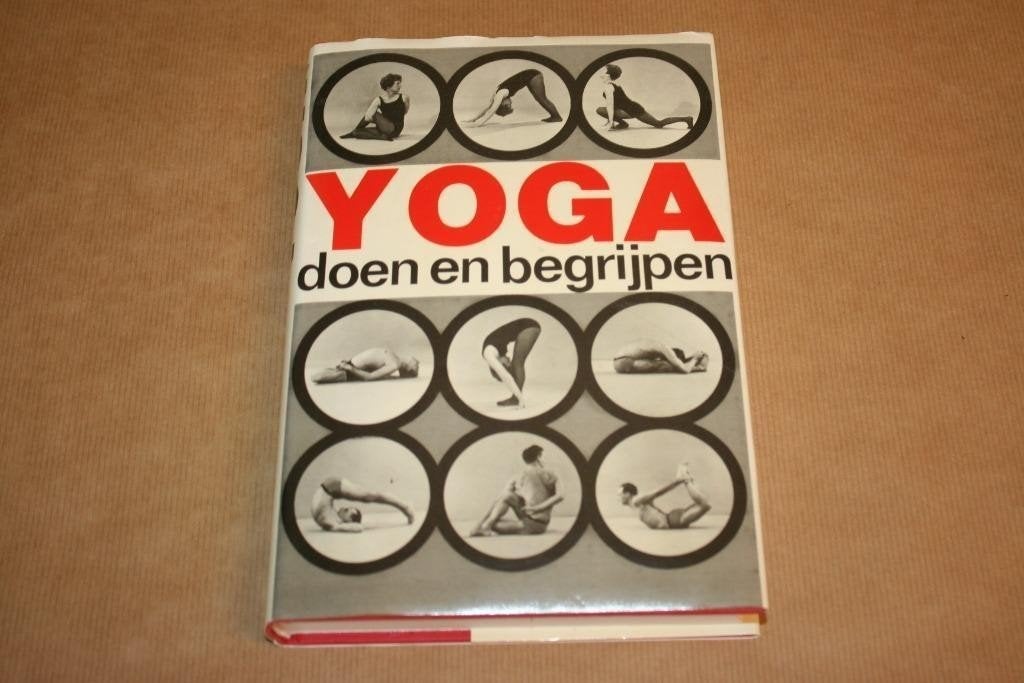 Yoga doen en begrijpen - Lysebeth - Ankh-Hermes, Boeken, Ophalen of Verzenden, Gelezen, Overige onderwerpen, Achtergrond en Informatie