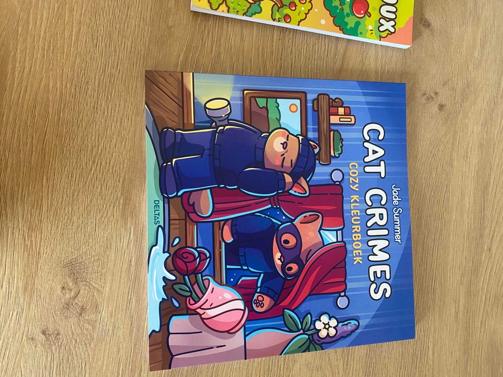 Cozy kleurboek, Hobby en Vrije tijd, Ophalen of Verzenden, Zo goed als nieuw