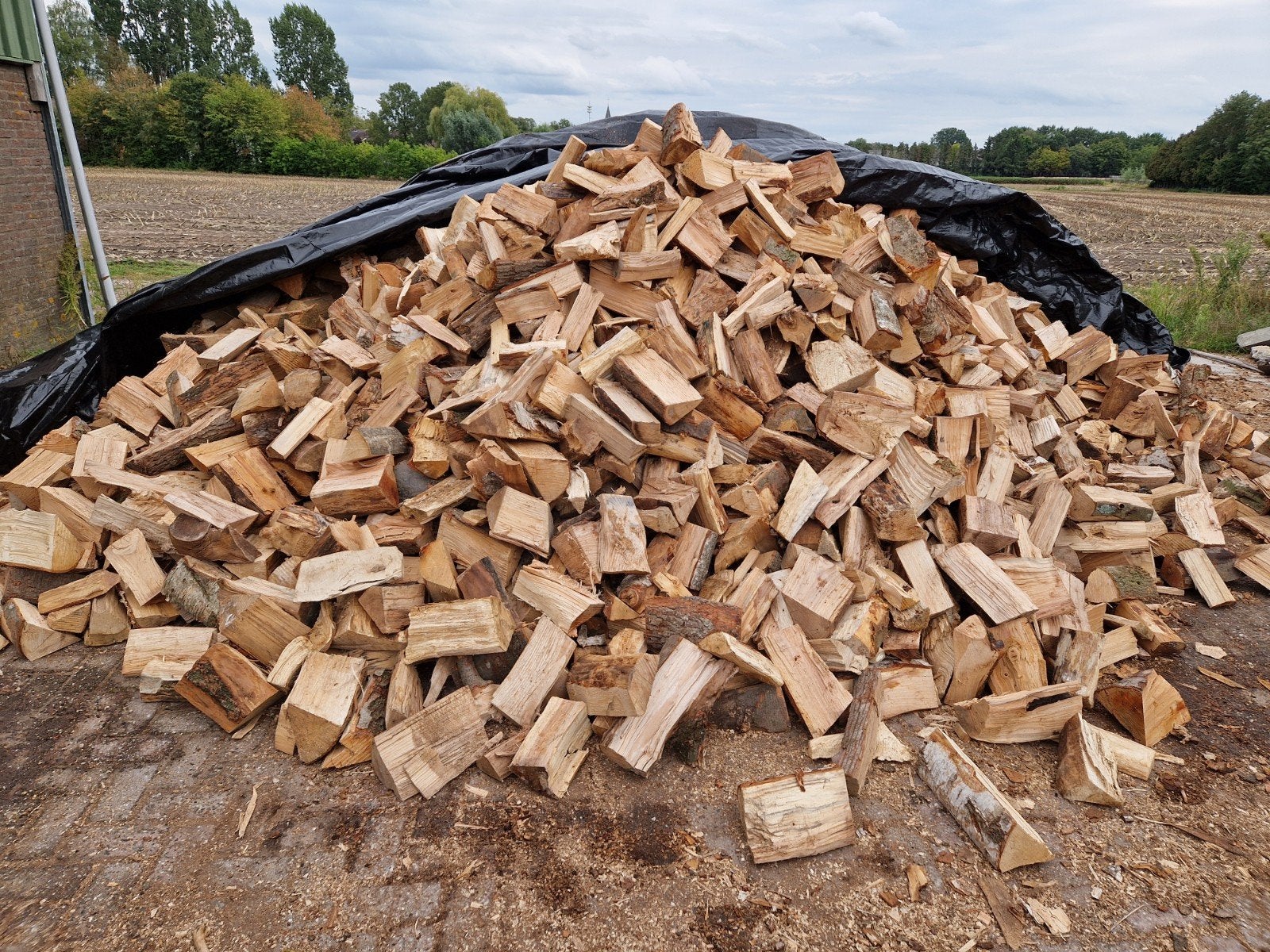 Kachelhout/haardhout., Tuin en Terras, Haardhout, 6 m³ of meer, Ophalen, Overige houtsoorten, Blokken
