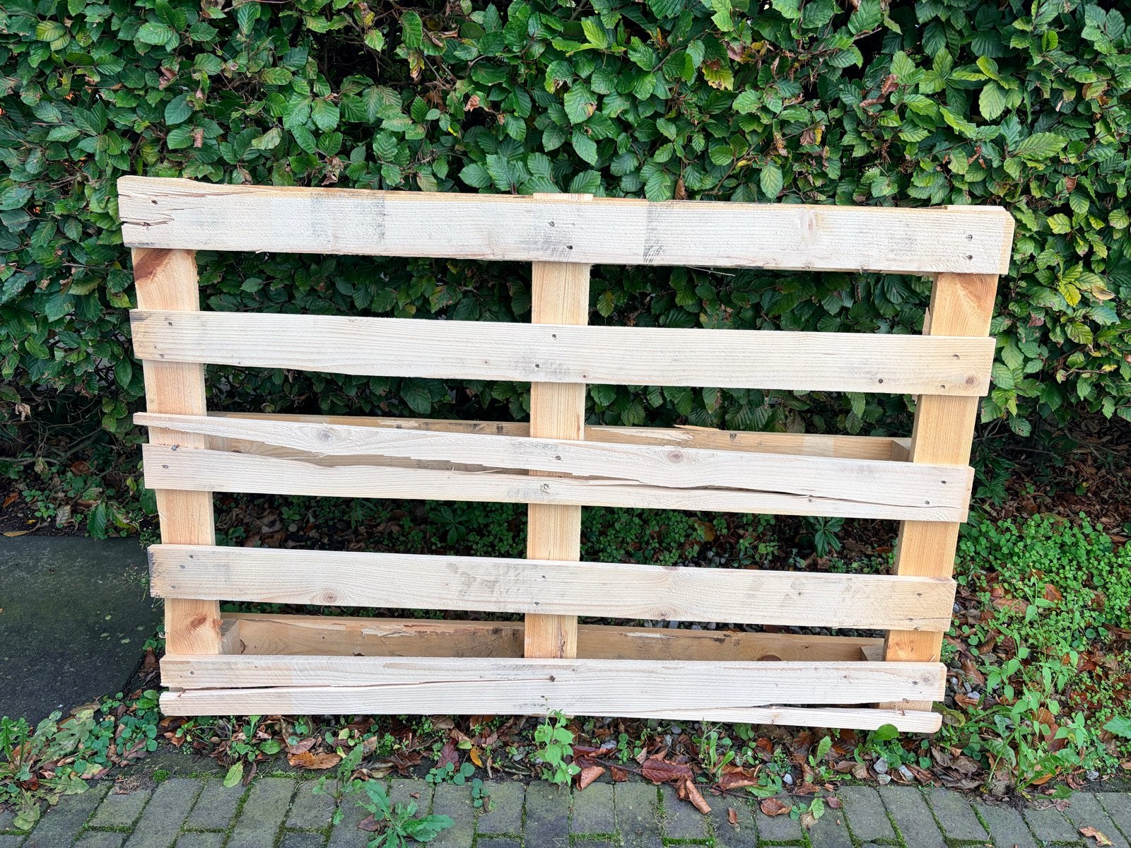 Gratis -> Houten pallet, Ophalen, Gebruikt, 25 tot 50 mm, Pallet